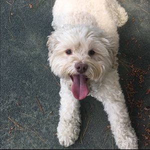 Meet your Posher, Emma